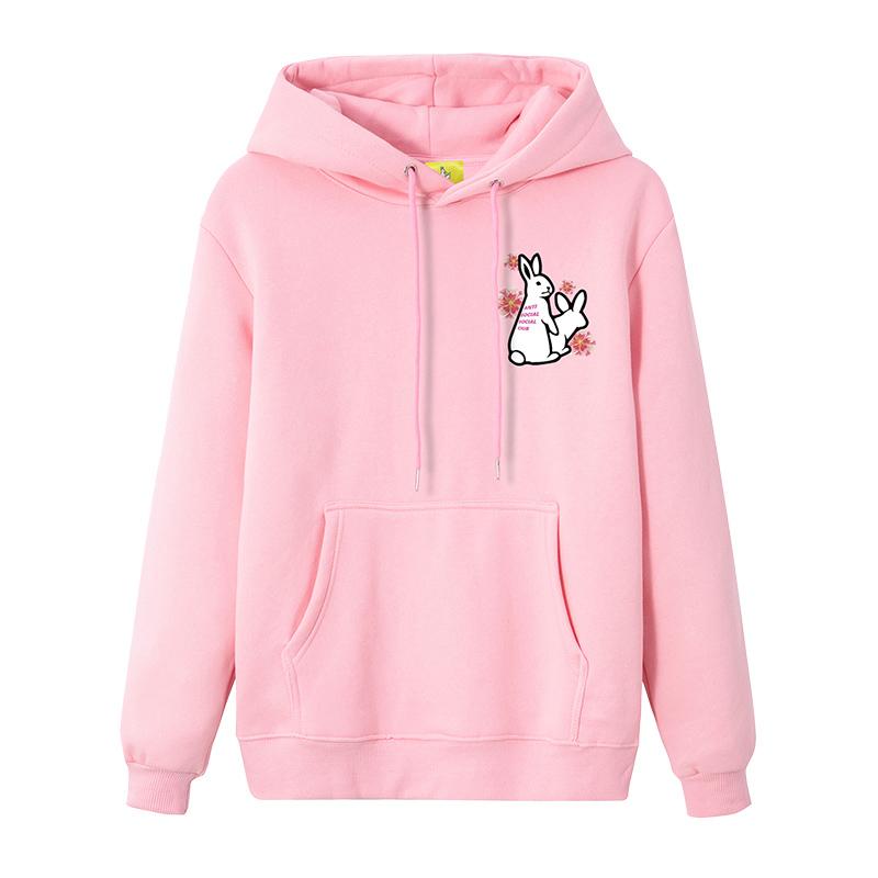 Sudadera con capucha ASSC x FR2 Lapin